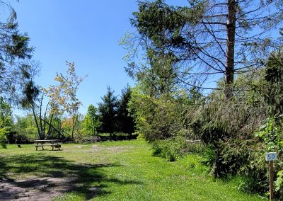 Haid's Hideaway Family Campground - Site 50