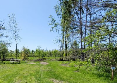 Haid's Hideaway Family Campground - Site 52